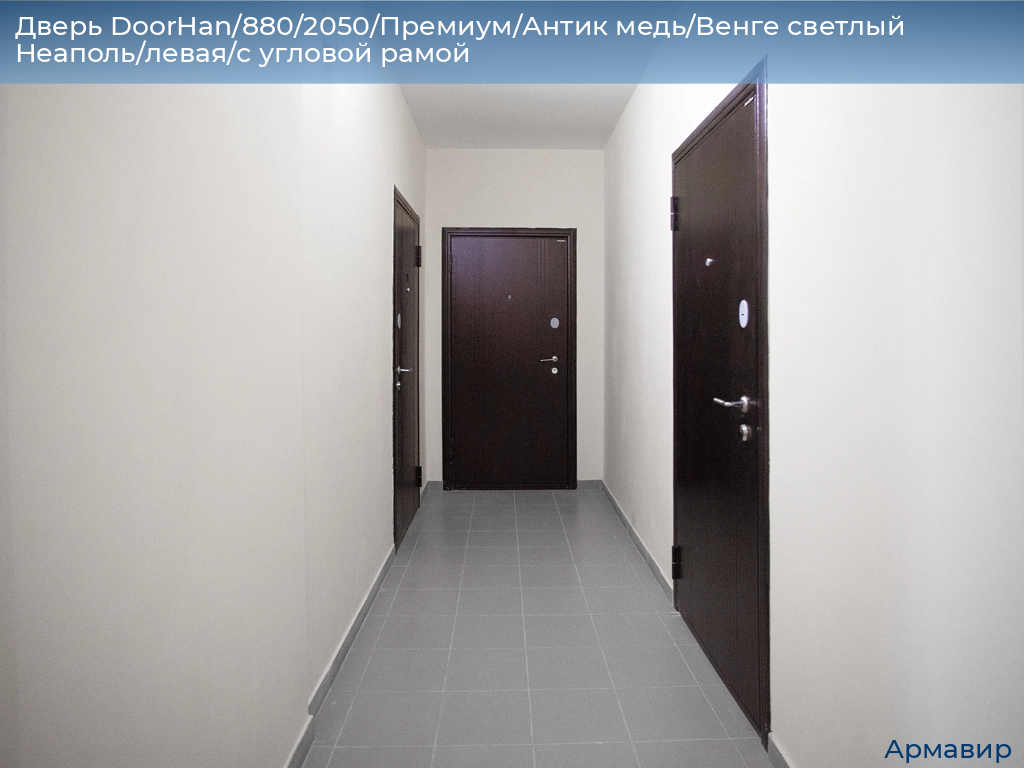 Дверь DoorHan/880/2050/Премиум/Антик медь/Венге светлый Неаполь/левая/с угловой рамой, armavir.doorhan.ru